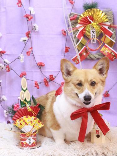 20230131はるちゃん